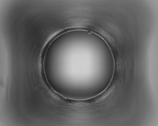 X0000113031077200909031247