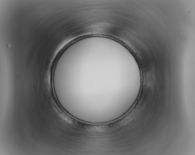 X0000113031078200909031247