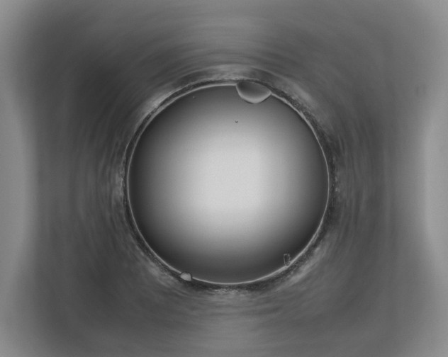 X0000113031081200909031247