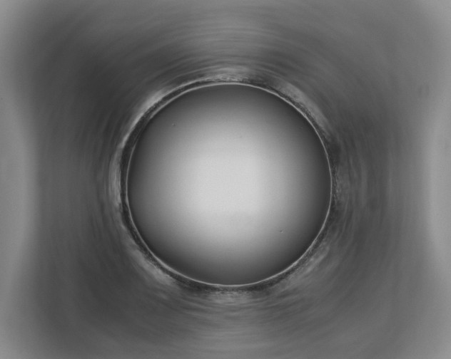 X0000113031083200909031247