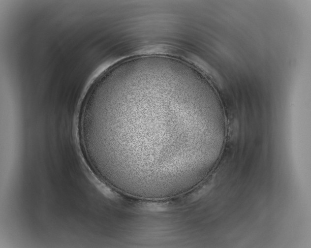 X0000113031086200909031247