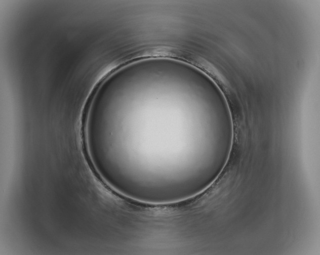 X0000113031087200909031247