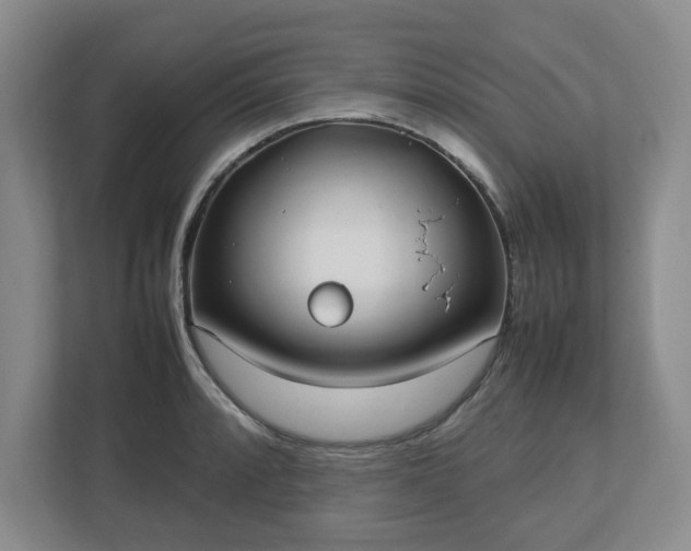 X0000113031088200909031247