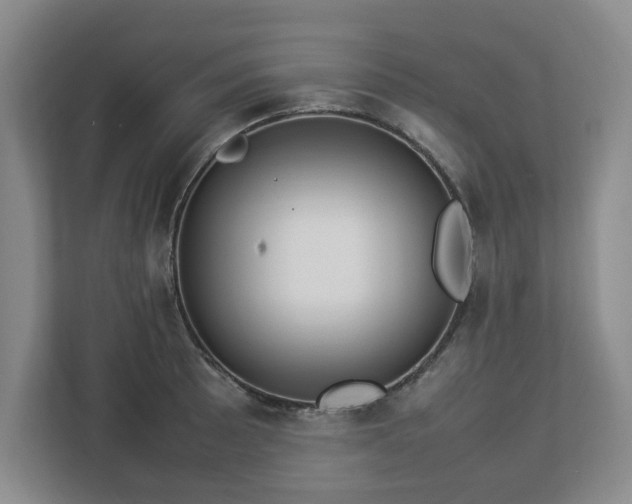 X0000113031089200909031247