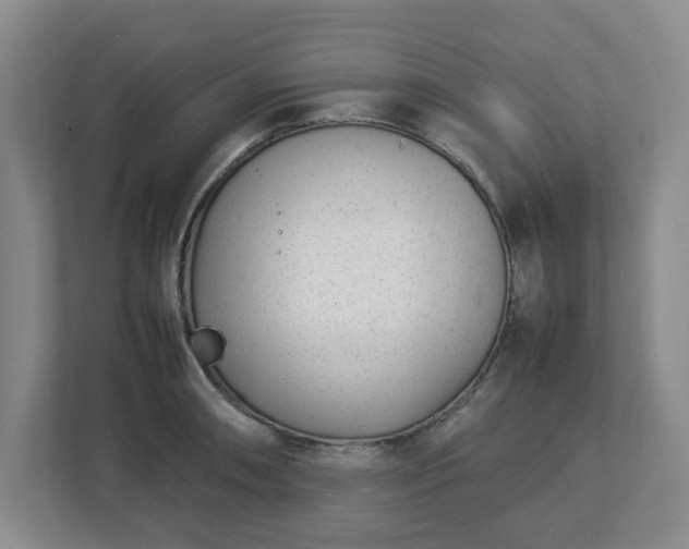 X0000113031090200909031247