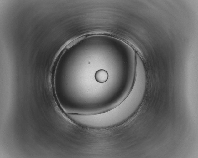 X0000113031092200909031247