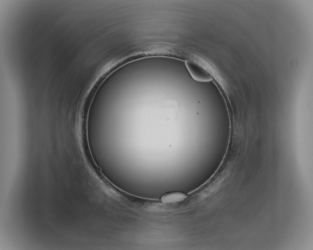 X0000113031093200909031247