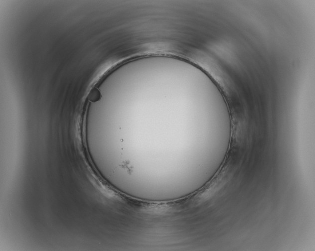 X0000113031094200909031247