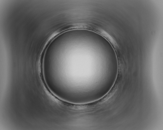 X0000113031095200909031247