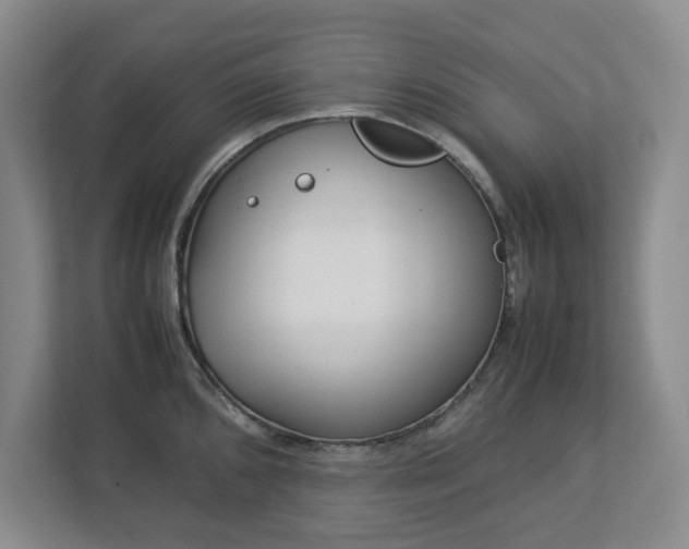 X0000113031096200909031247