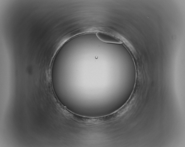 X0000113031097200909031247