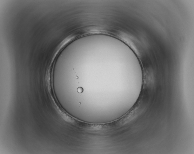 X0000113031098200909031247