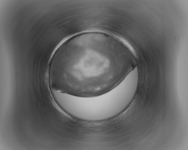 X0000113031100200909031246