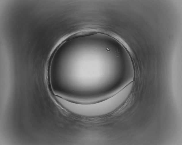 X0000113031101200909031246