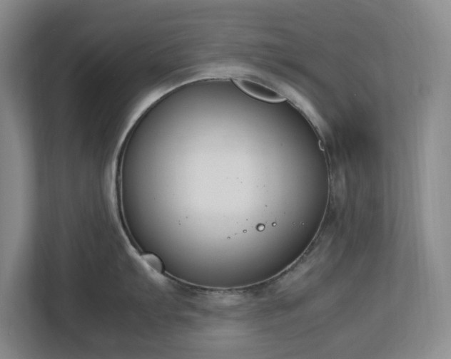 X0000113031103200909031246