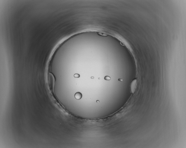 X0000113031104200909031246