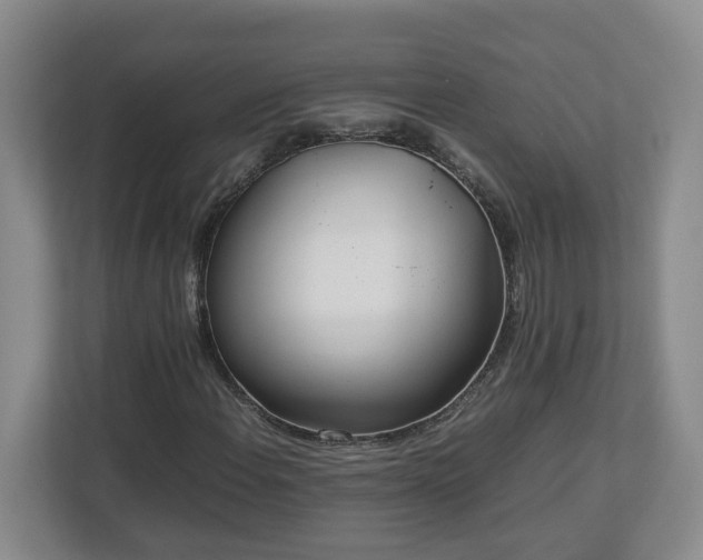 X0000113031108200909031246