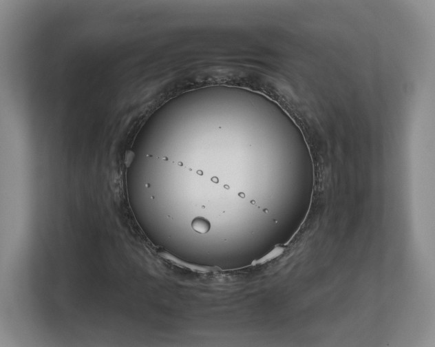 X0000113031109200909031246