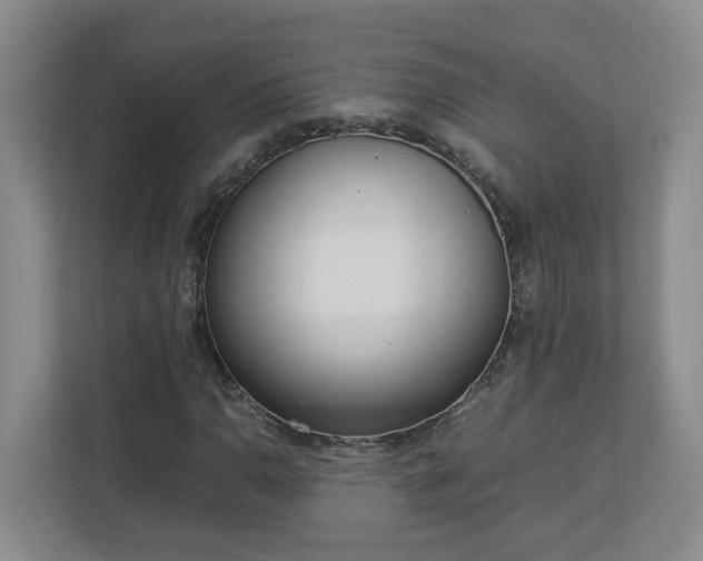 X0000113031110200909031246