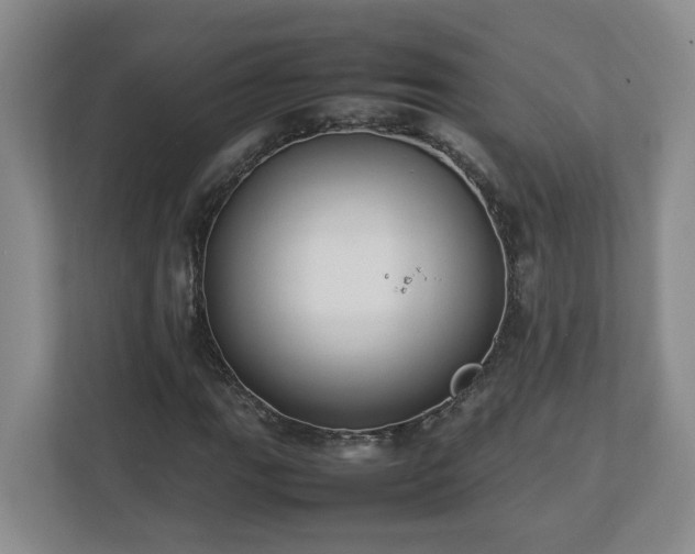 X0000113031111200909031246