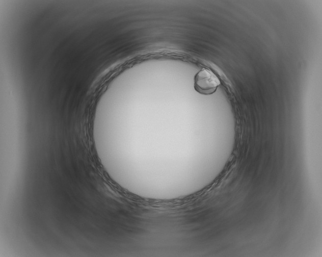 X0000113031112200909031246