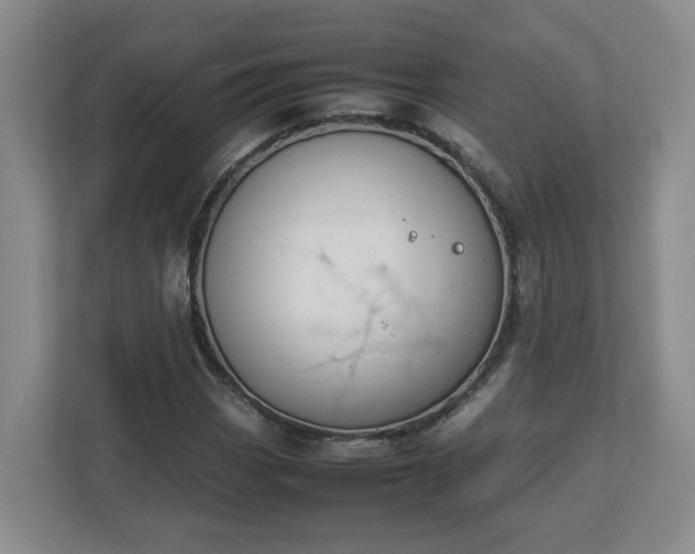 X0000113031113200909031246