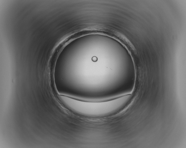 X0000113031114200909031246