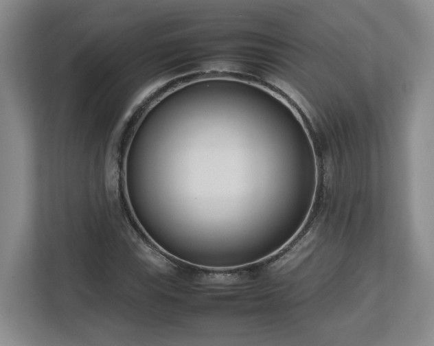 X0000113031115200909031246