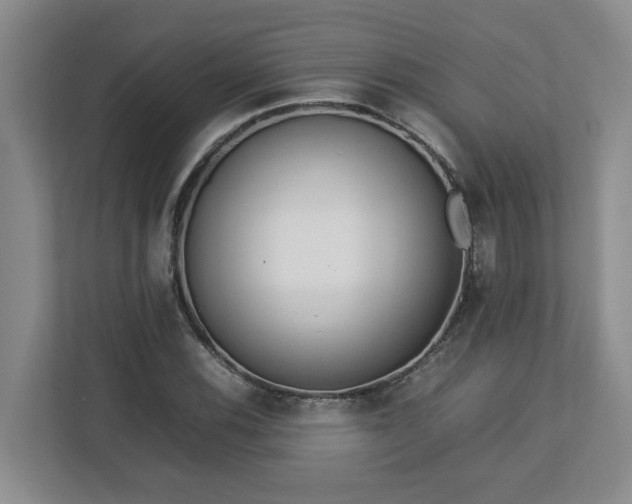 X0000113031116200909031246