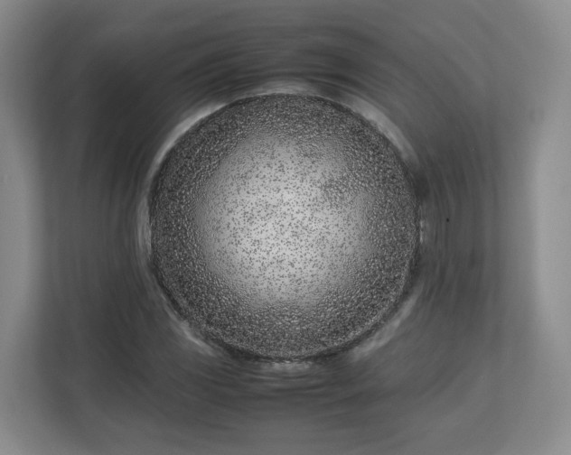 X0000113031117200909031246