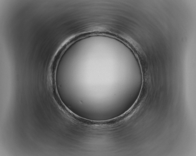 X0000113031118200909031246