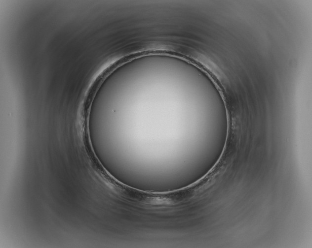 X0000113031119200909031246