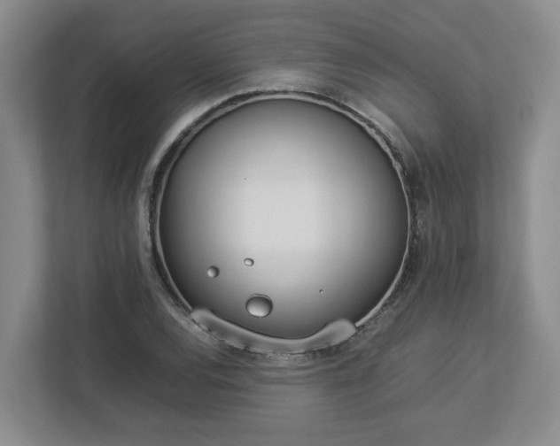 X0000113031120200909031246