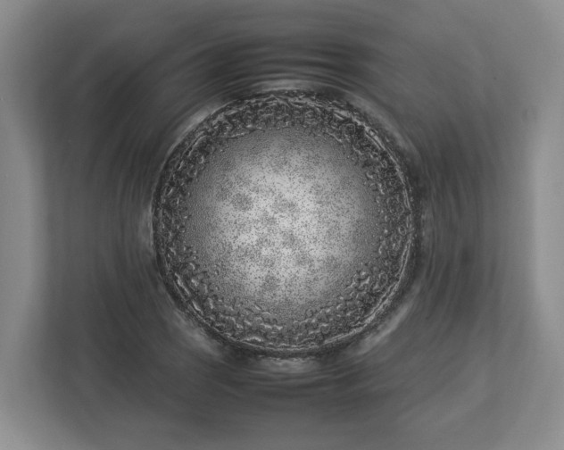 X0000113031121200909031246