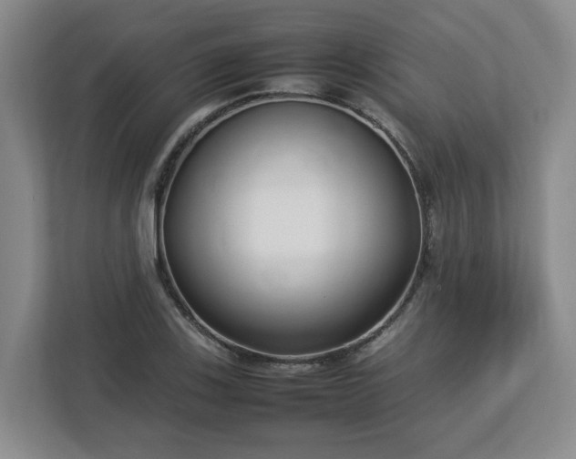 X0000113031123200909031246