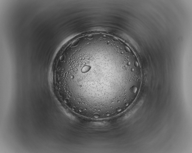 X0000113031125200909031246