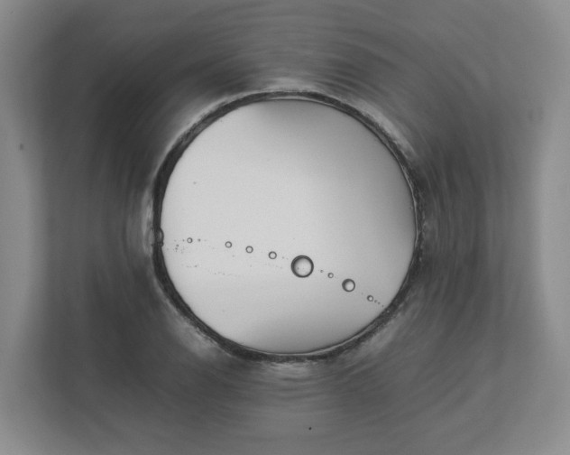 X0000113031126200909031246