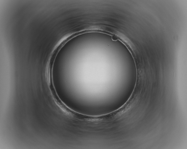 X0000113031127200909031246