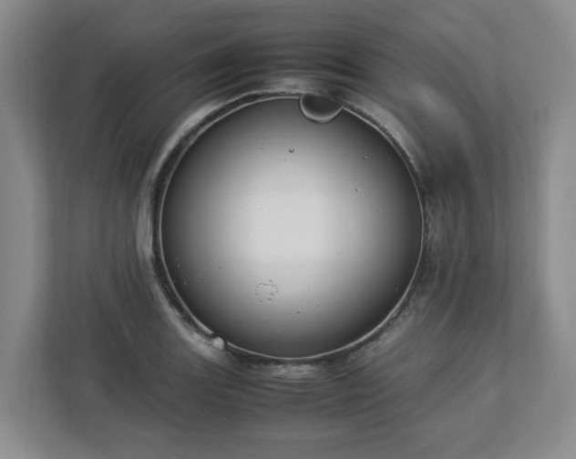 X0000113031131200909031246