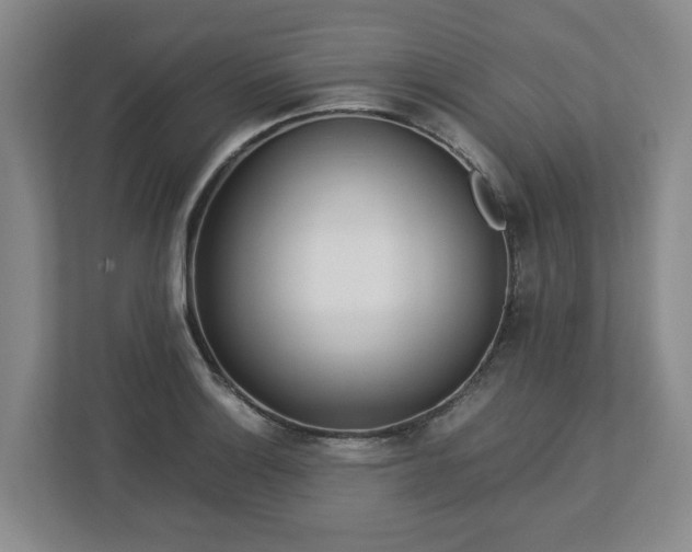 X0000113031132200909031246