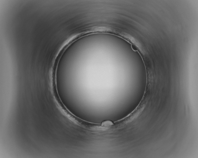 X0000113031134200909031246