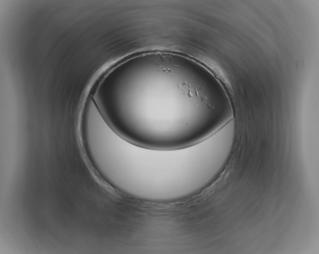 X0000113031136200909031246