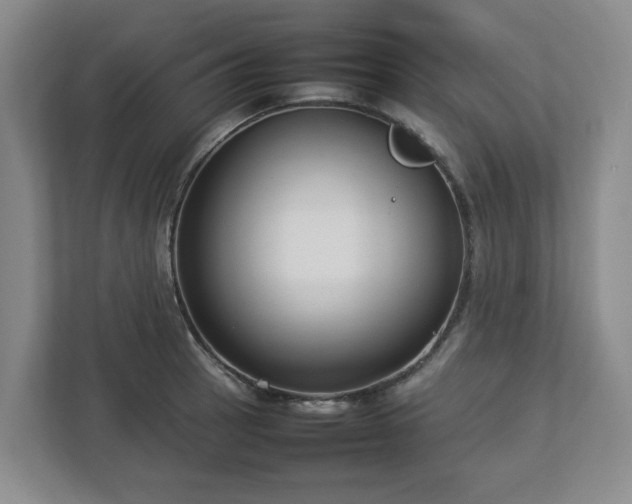 X0000113031137200909031246