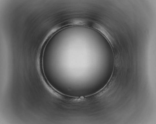 X0000113031139200909031246