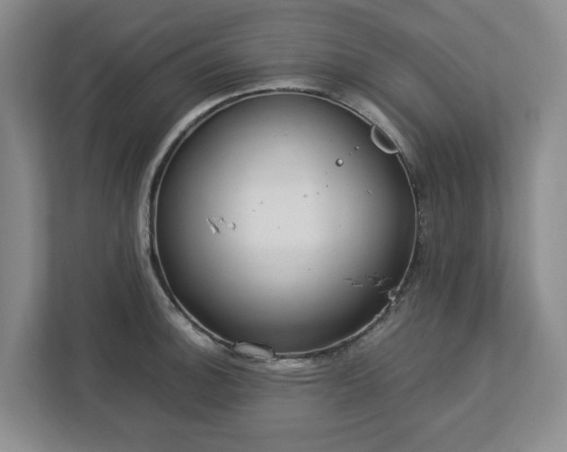 X0000113031140200909031246