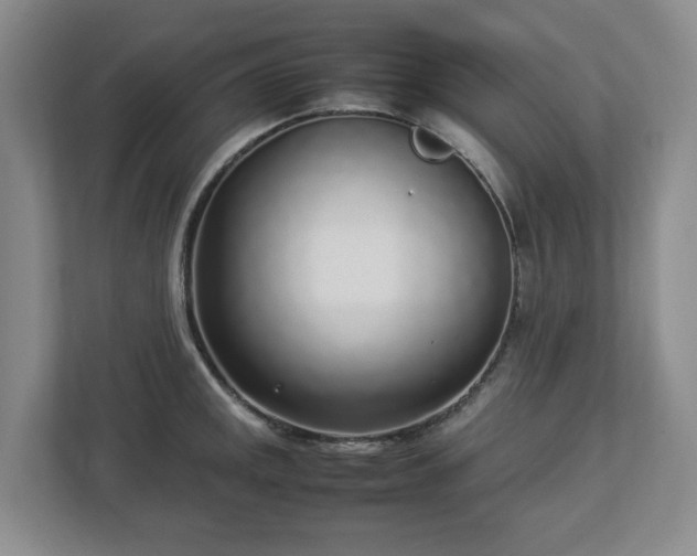 X0000113031141200909031246