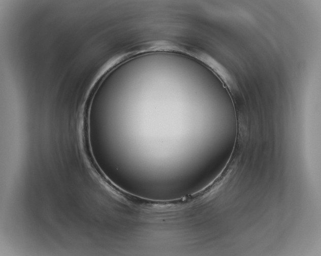 X0000113031142200909031246