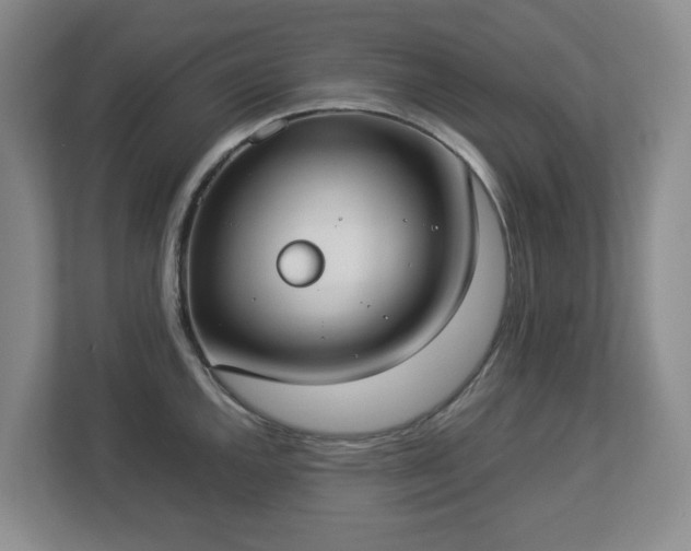 X0000113031144200909031246