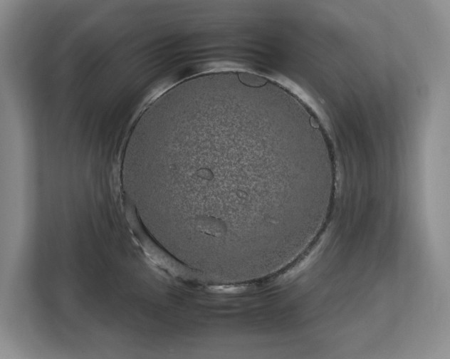 X0000113031145200909031246