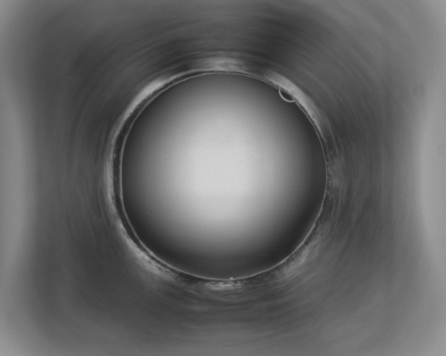 X0000113031147200909031246